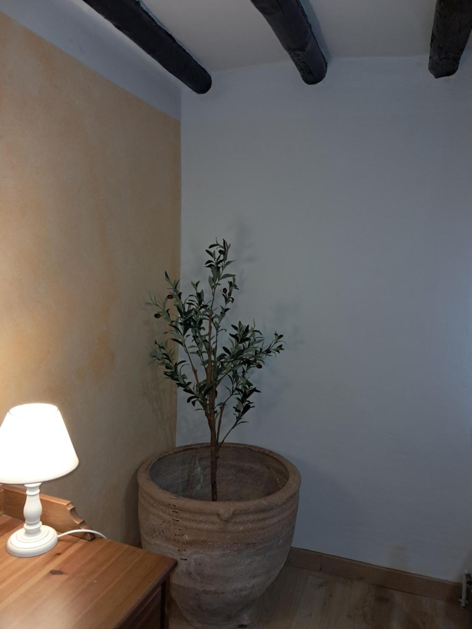 Casa Rural Ruta Del Agua 4 Hab Al Lado Monasterio De Piedra Munébrega Εξωτερικό φωτογραφία
